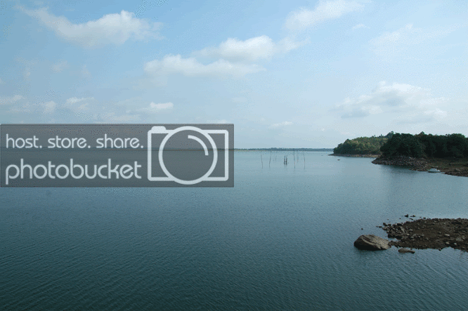 DSC_5571.gif