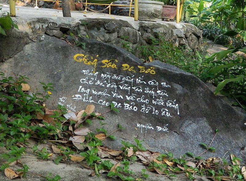 DSCN2548.jpg