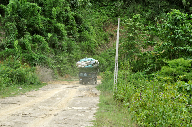 DSC_0130.jpg