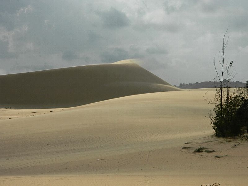DSCN2003.jpg