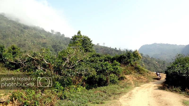 DSC09394_zps3b83df05.jpg