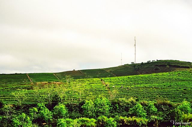 00052-10.jpg