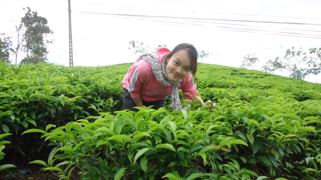 DSC00826.jpg