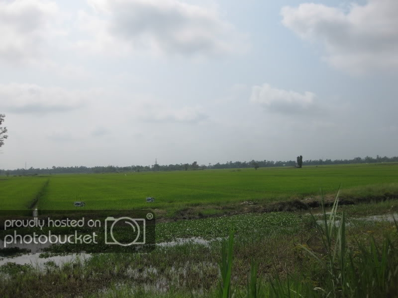 DongThapTET2011085.jpg