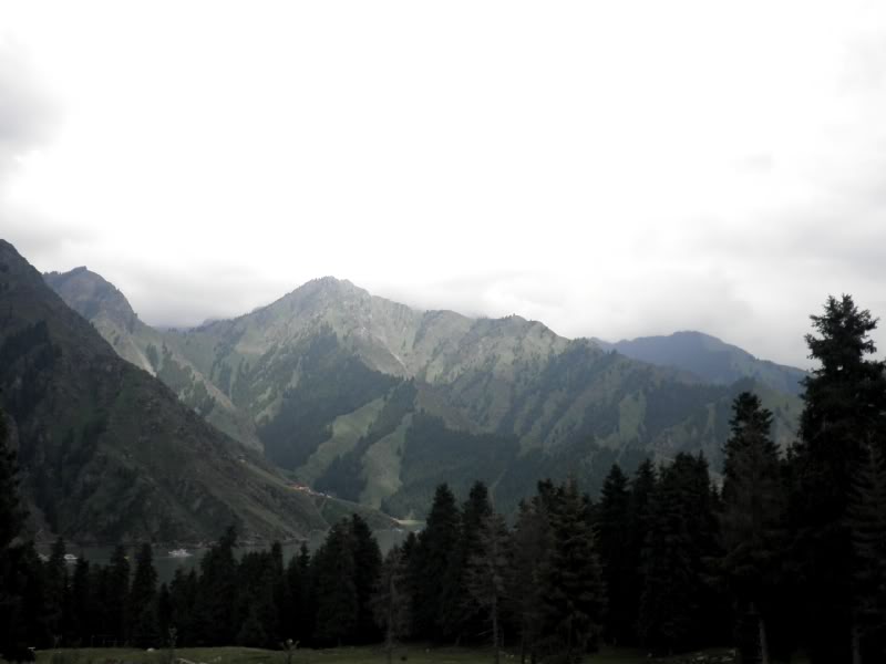 P7040749.jpg