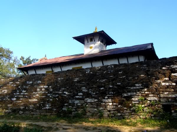 PB101325.jpg