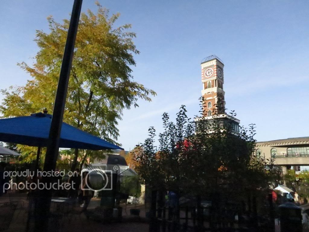 IMG_0391_zpsa707c9c6.jpg