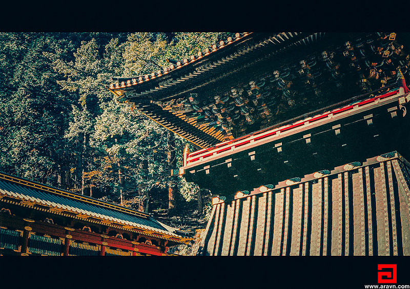20130245413_b3e845e0de_c.jpg