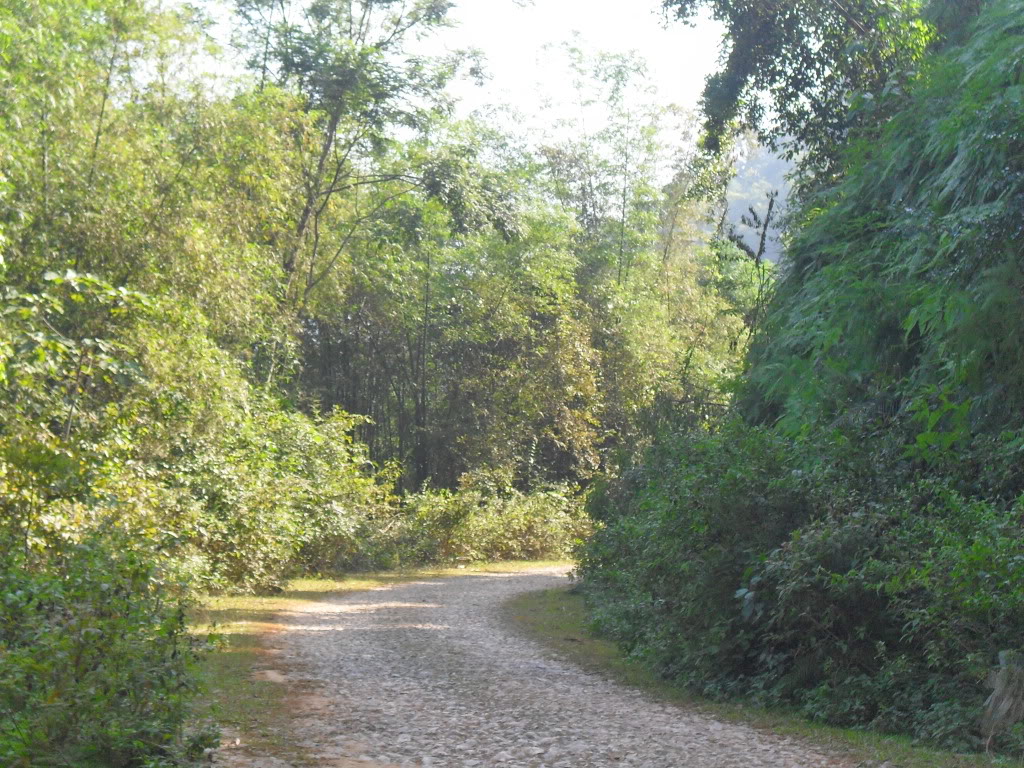 SDC10598.jpg