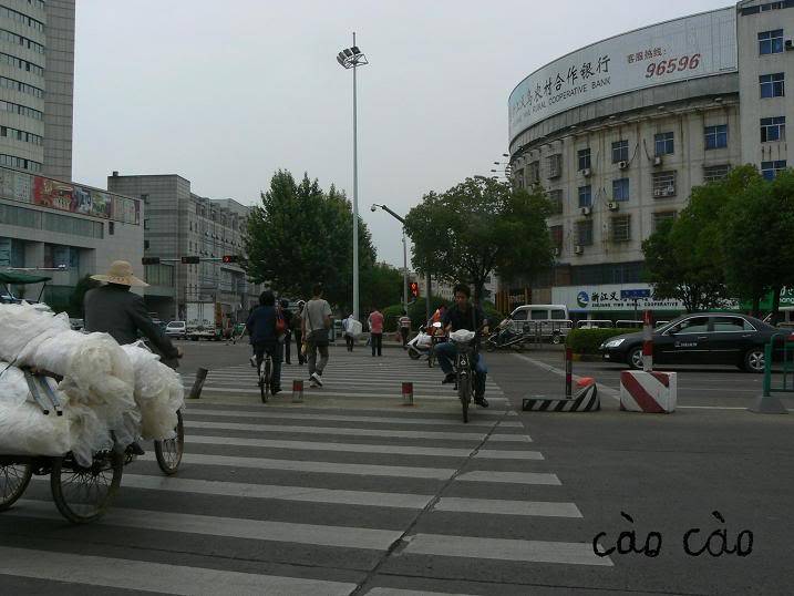P1120191.jpg