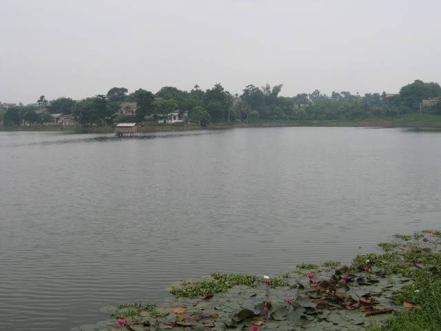 IMG_2238.jpg