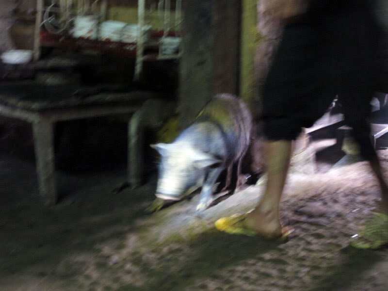 HongNgai2011427.jpg