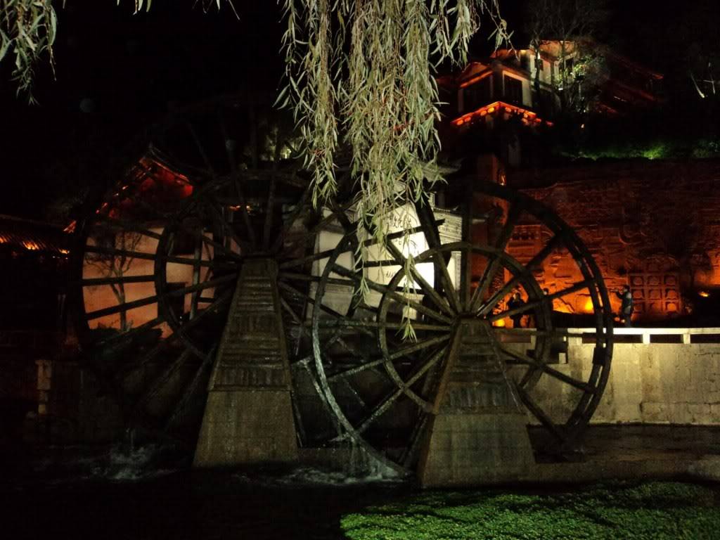 DSC01817.jpg