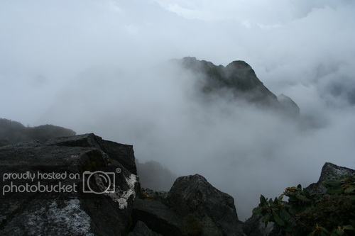 IMG_1910_zps568cd97a.jpg