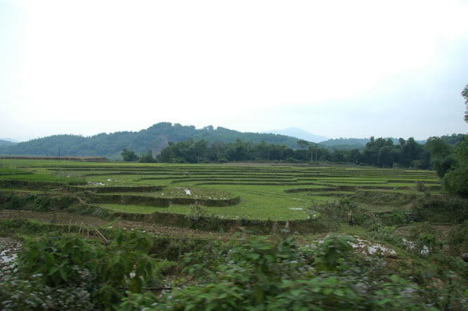 DSC_4346-1.jpg