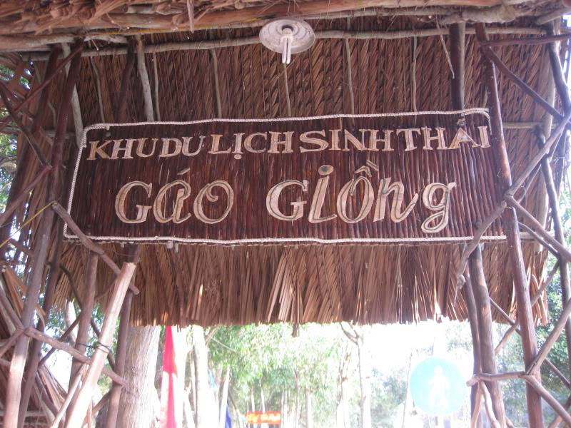 DongThapTET2011282.jpg