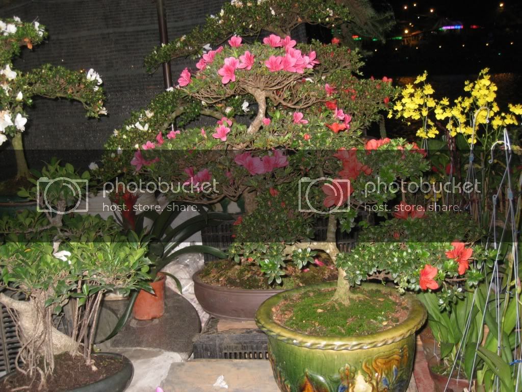 IMG_0066.jpg