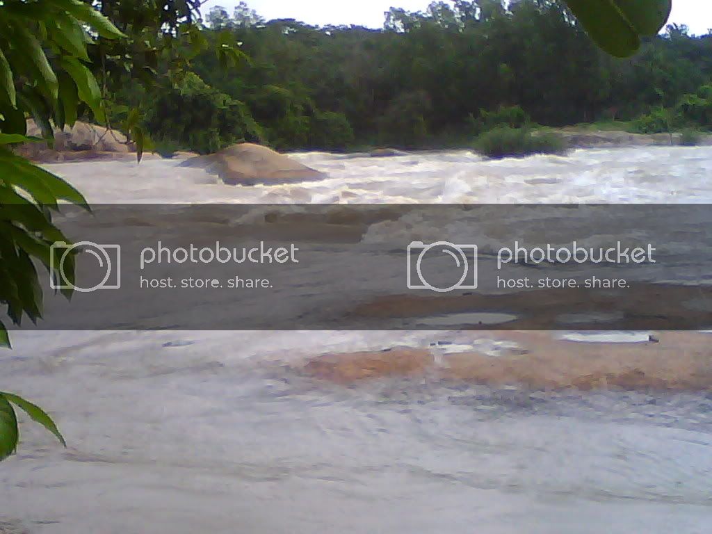 IMG00095.jpg