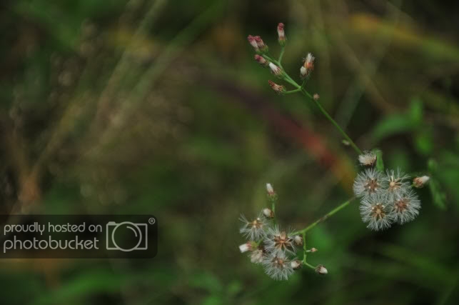 DSC_3165.jpg