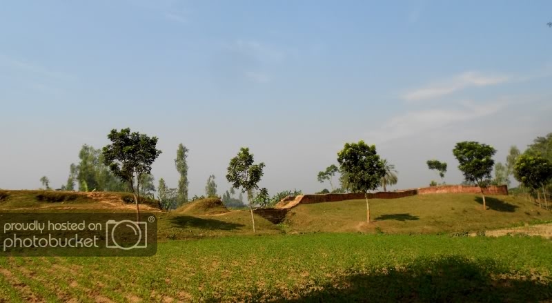 DSCN0888-1.jpg