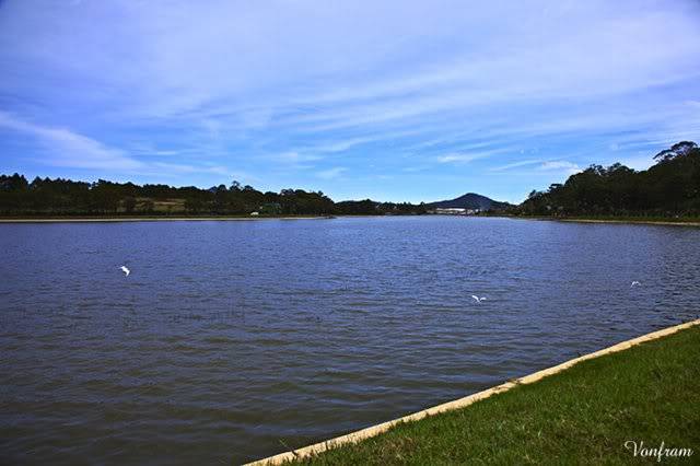 _MG_2270.jpg