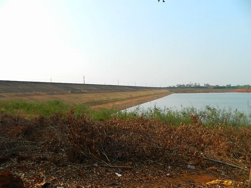 DSCN3630.jpg