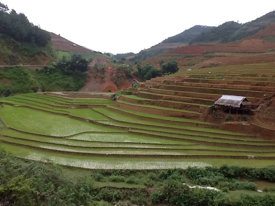 d3c012f0.jpg