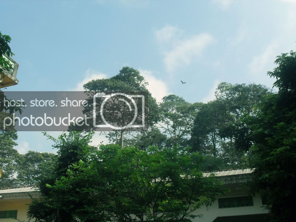 SDC10368.jpg