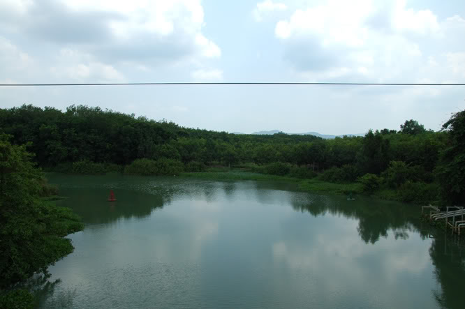 DSC_5702.jpg