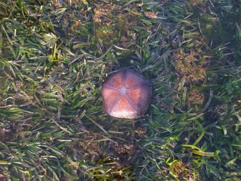 DSCF7085.jpg
