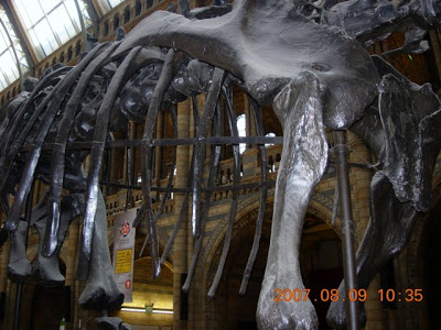 DSCN3656.JPG