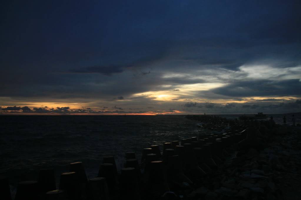 IMG_4559.jpg