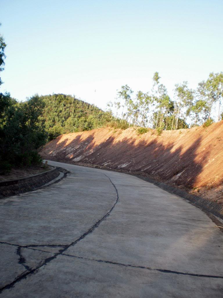 285.jpg