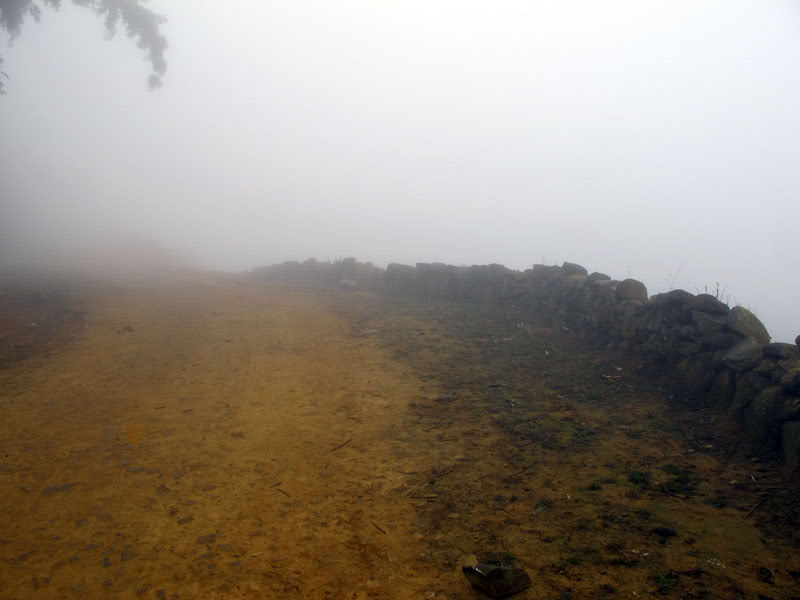 HongNgai2011335.jpg