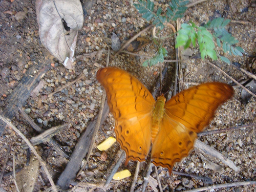 3697267199_03c89342bb.jpg