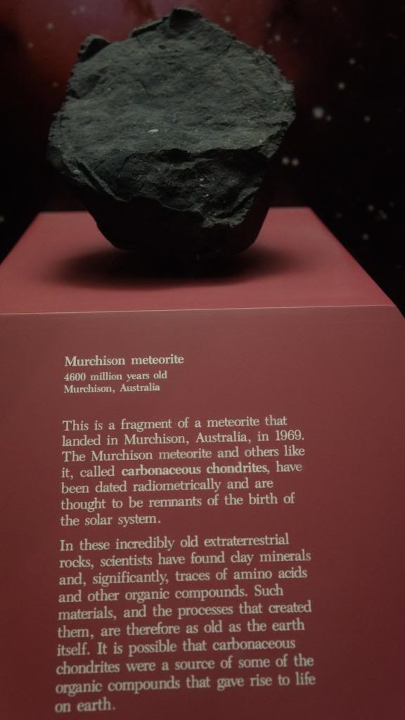 DSC05737_zps502c1d90.jpg