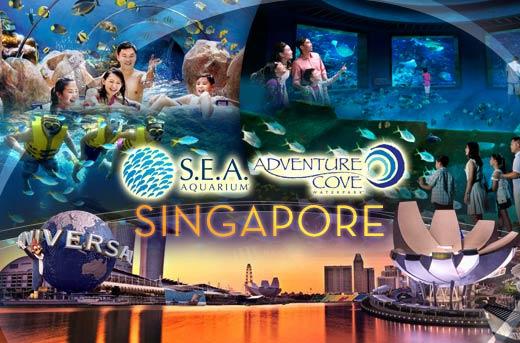 S.E.A.-Aquarium-3.jpg