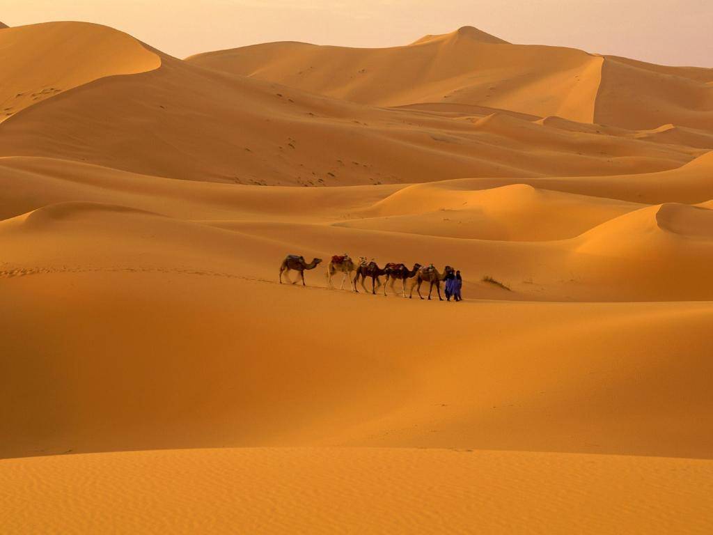 Desert_zpsb372106a.jpg