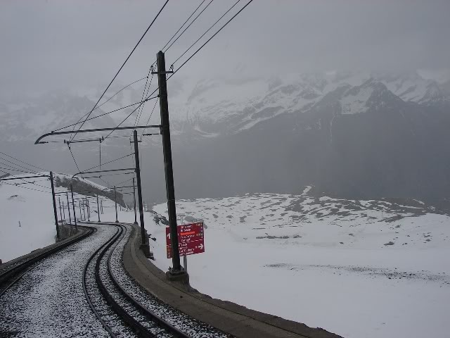 DSC09927.jpg