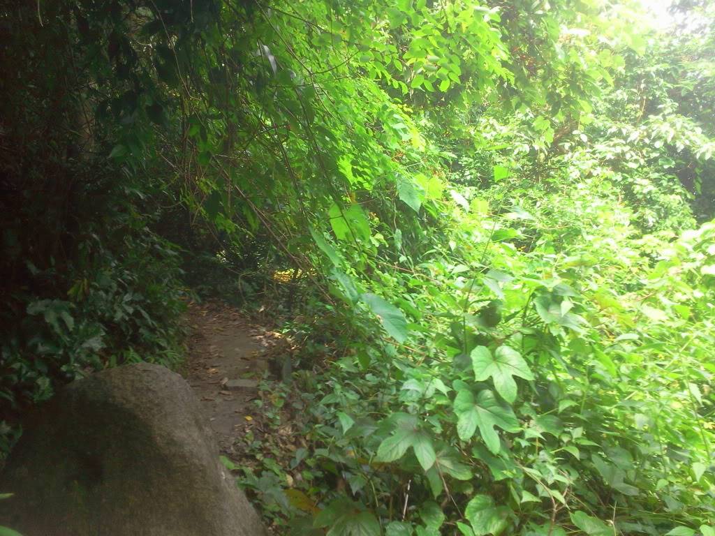 Photo0748.jpg