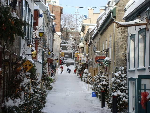 DSC06215.jpg
