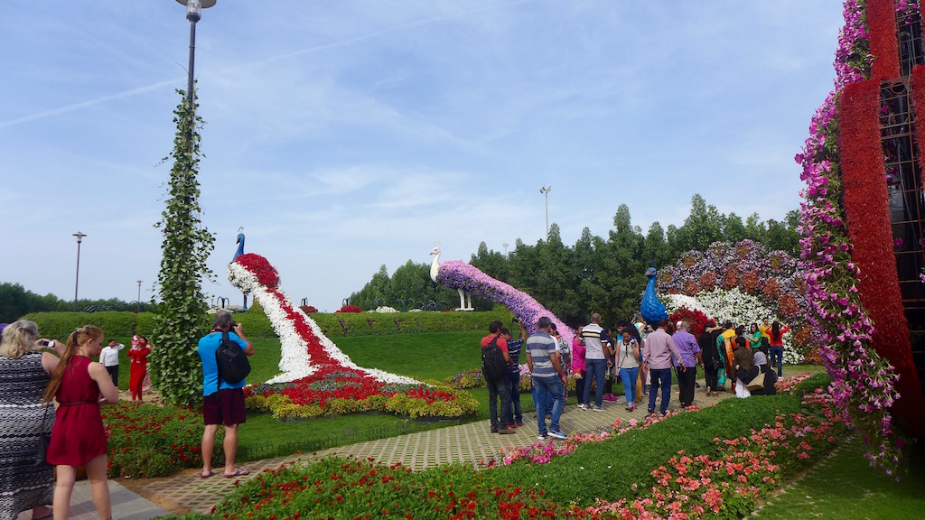 P1050903%201_zps33zytbf4.jpg