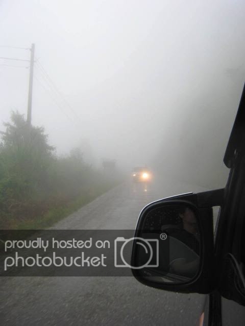 IMG_7317.jpg