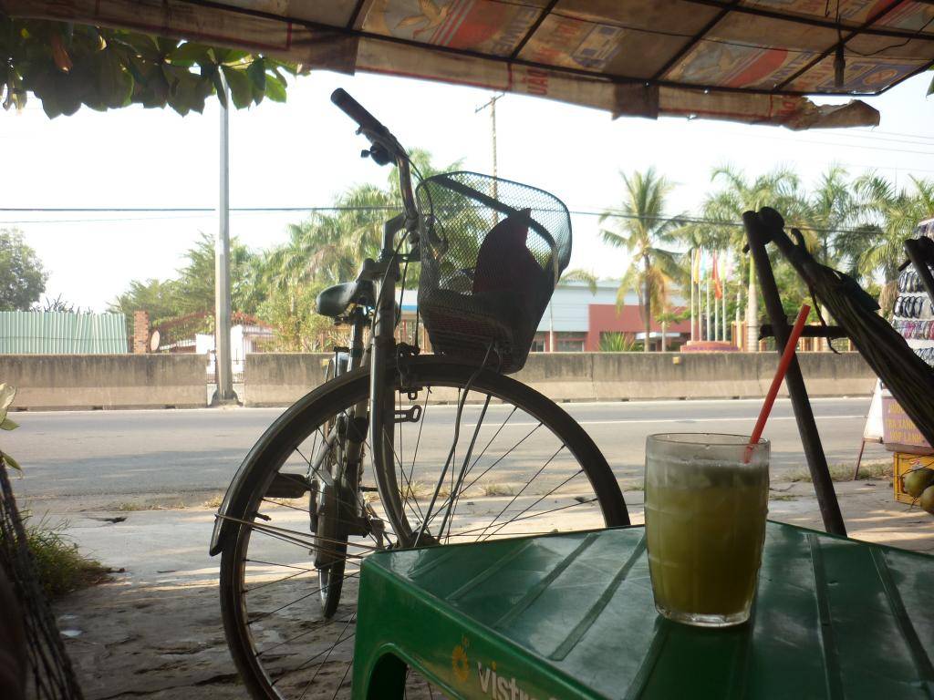 P1000807.jpg