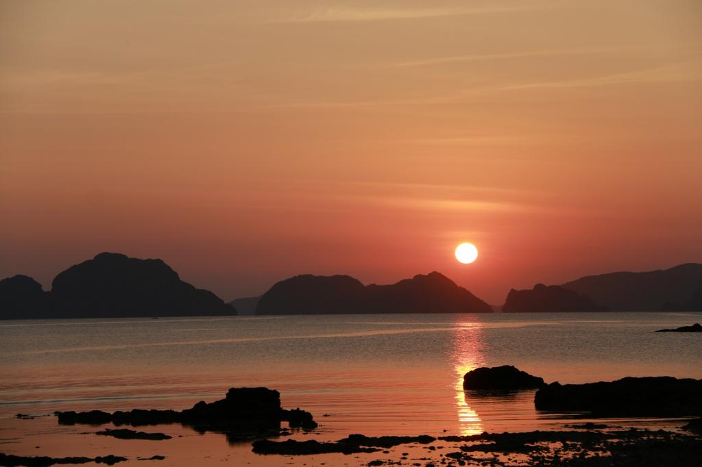 IMG_0518Copy.jpg