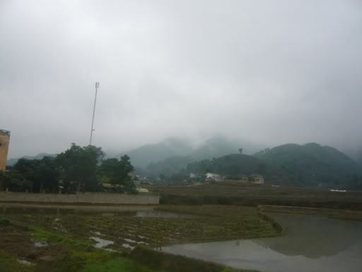P1020434.jpg