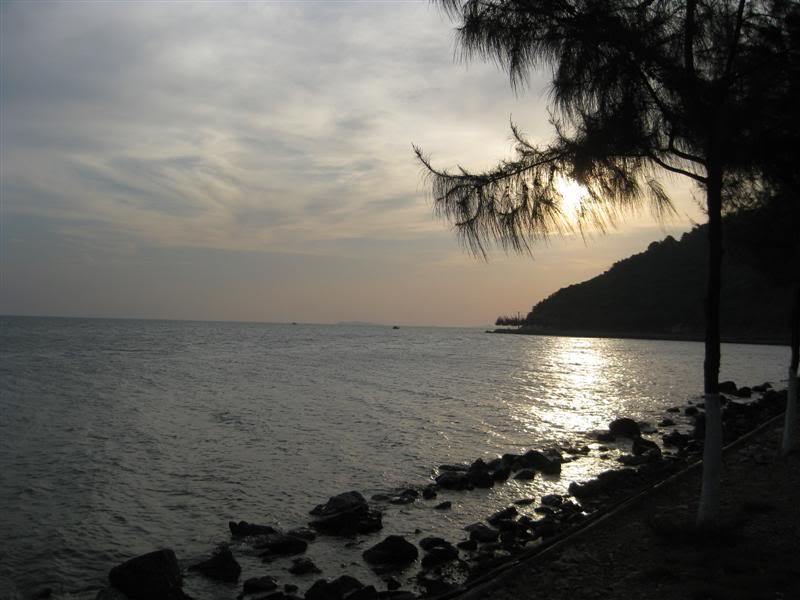 IMG_2452Medium.jpg