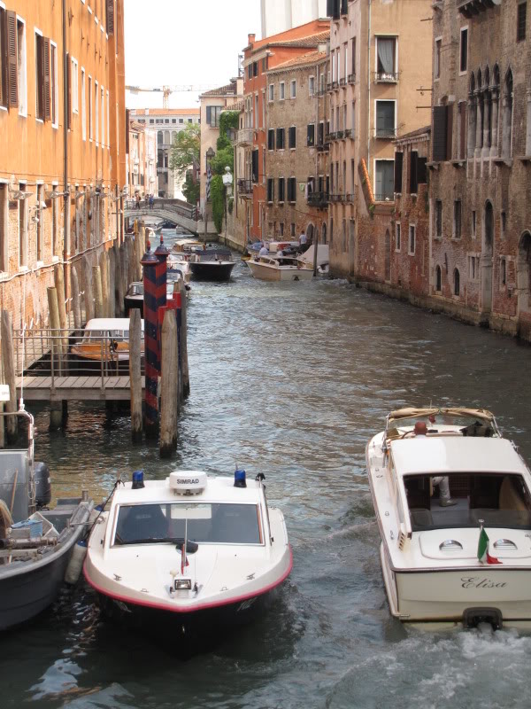 IMG_4175-1.jpg