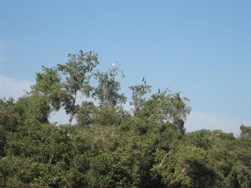 IMG_2627Medium.jpg
