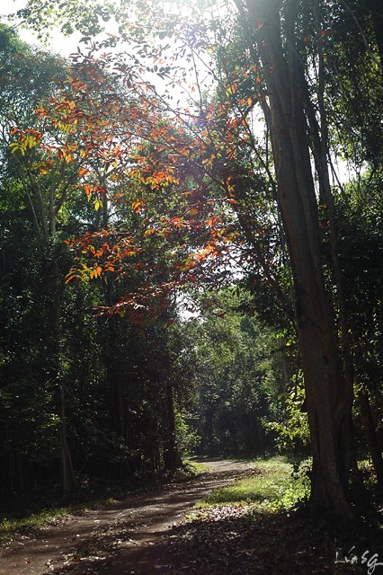 N9U50.jpg